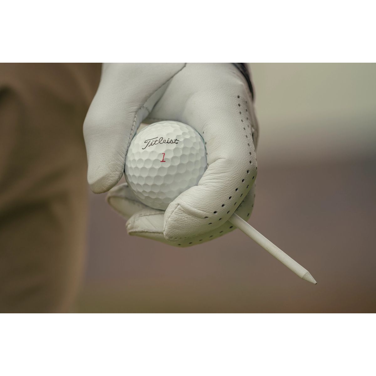 ProV1 Bild