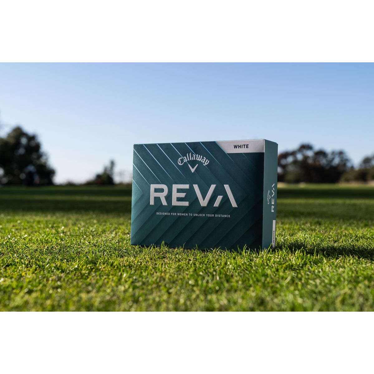 REVA Women Bild