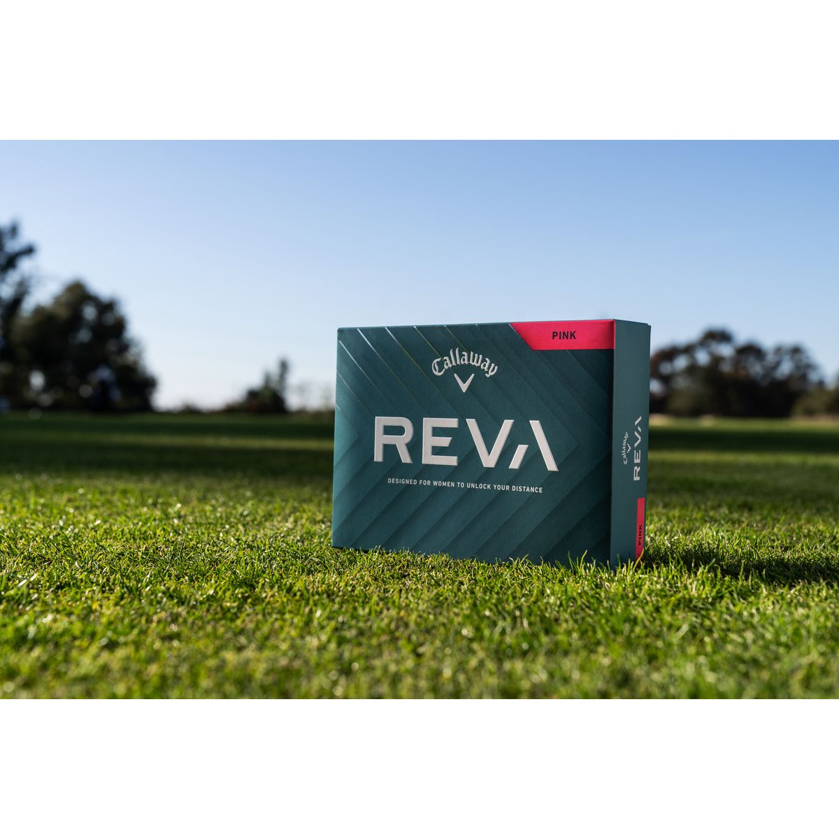 REVA Women Bild