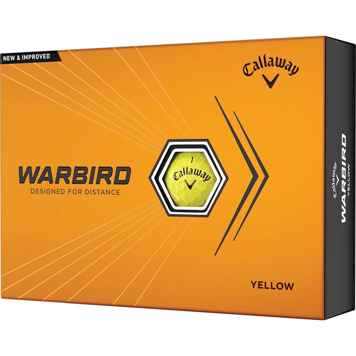 Warbird Bild
