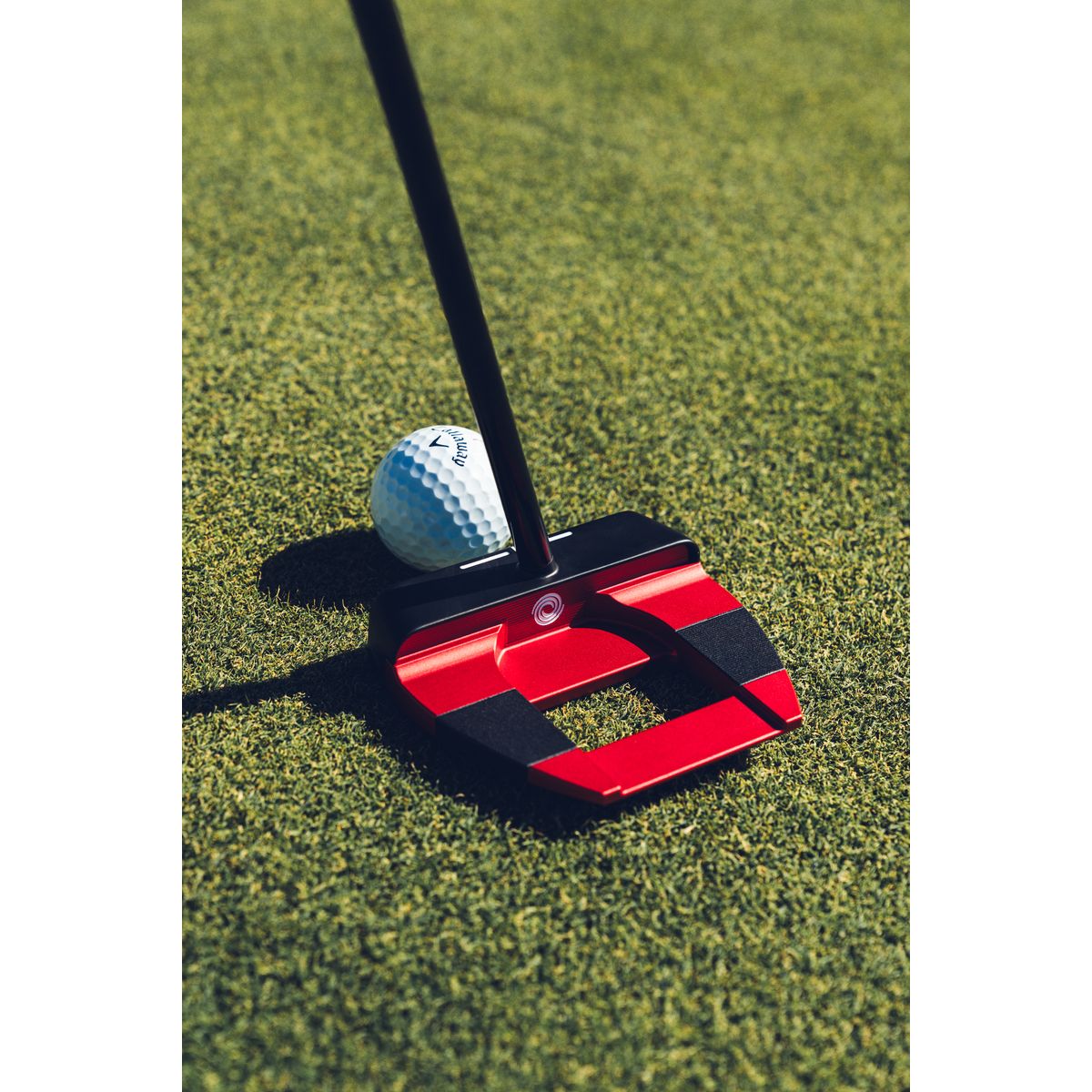 Der Putter