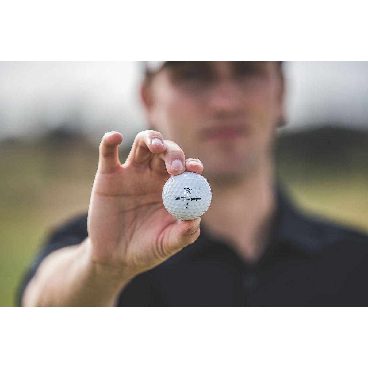 Wilson Staff Model